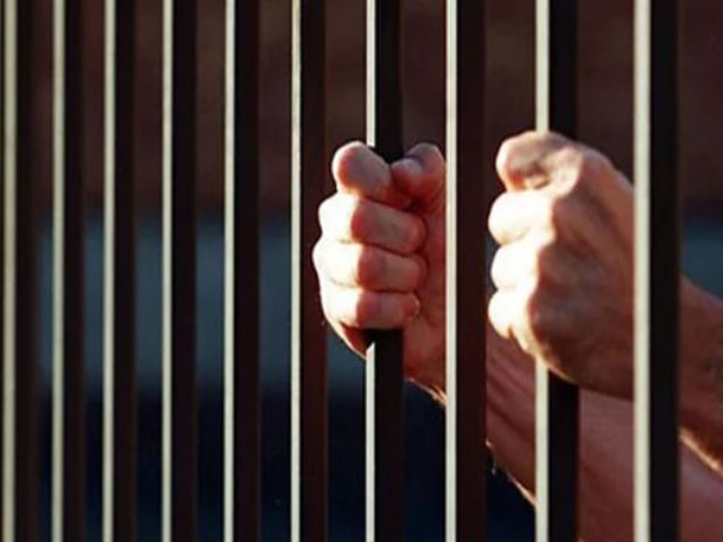 हातहतियार मुद्दाका तीन जना अभियुक्तलाई कैद